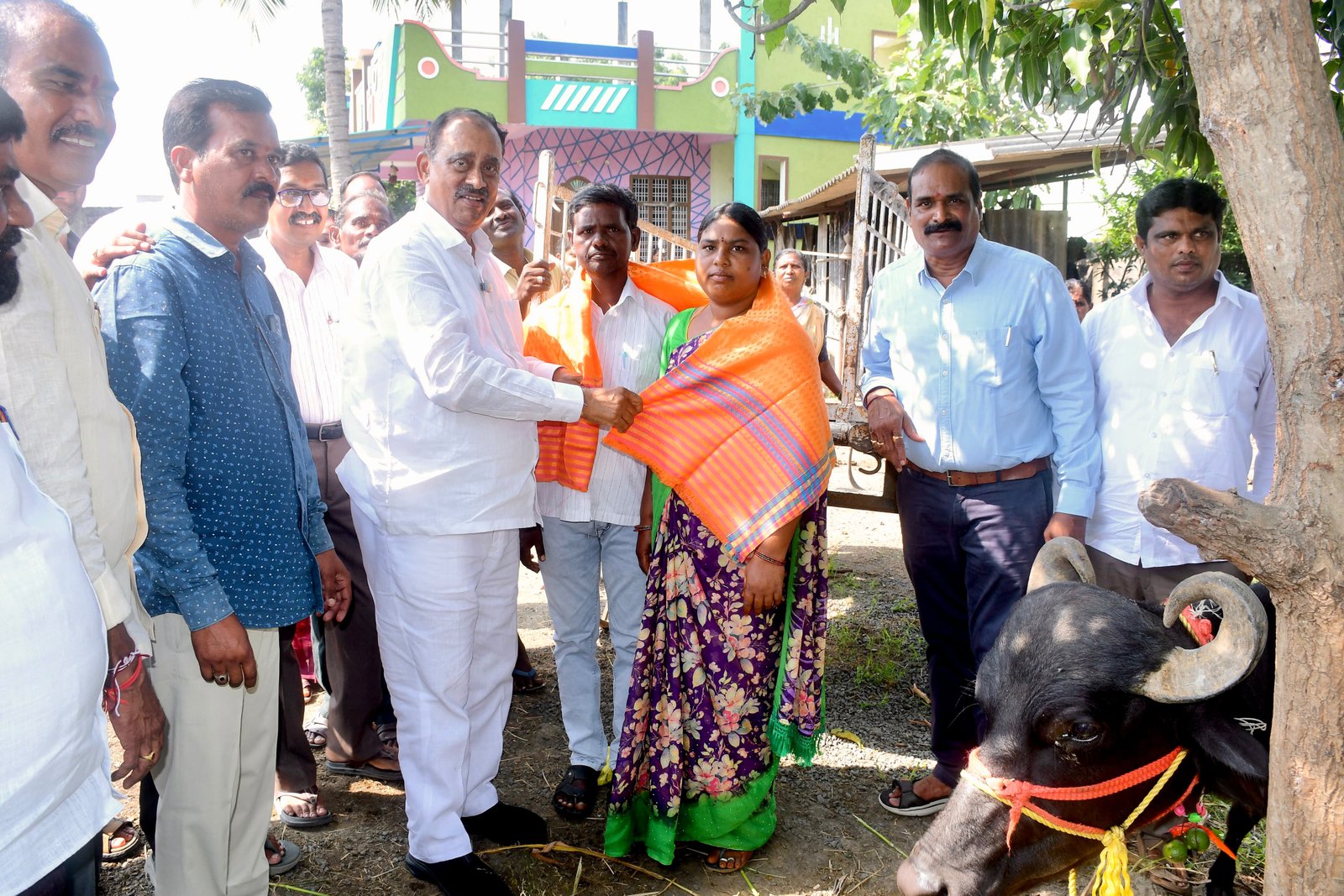 ఎస్సీ కార్పొరేషన్ ద్వారా మంజూరైన పాడి గేదెలను పరిశీలించిన ఎమ్మెల్యే  రేవూరి - Additional Image