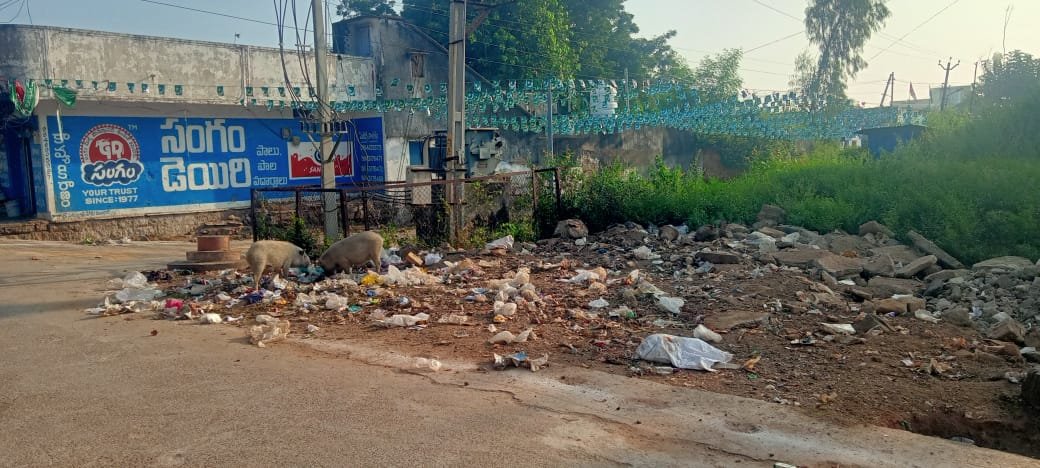 పరేషాన్‌లో పరకాల పురవీధులు..! - Additional Image
